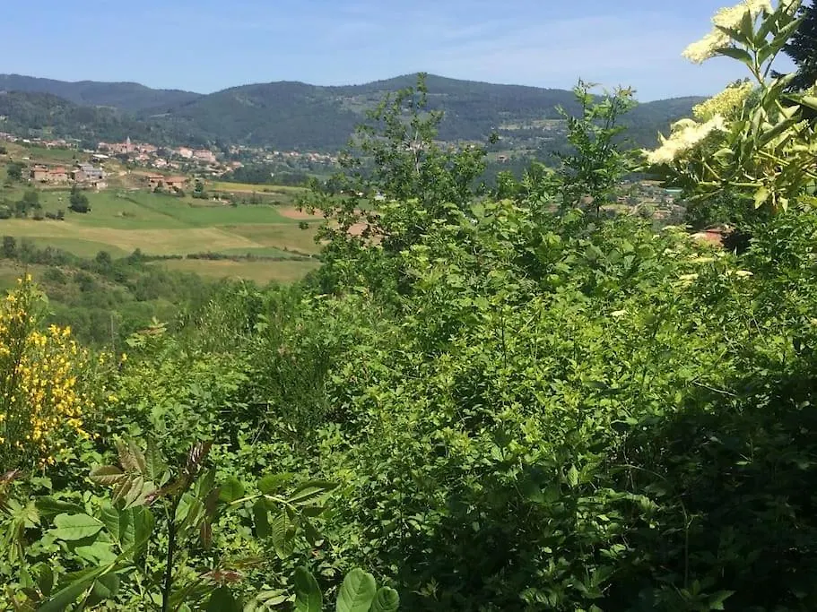 Holiday home Gites De Fouard 