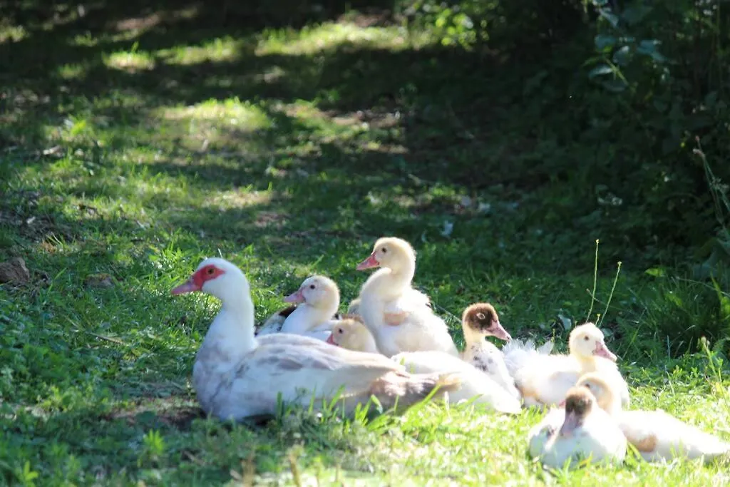 Gites De Fouard 
